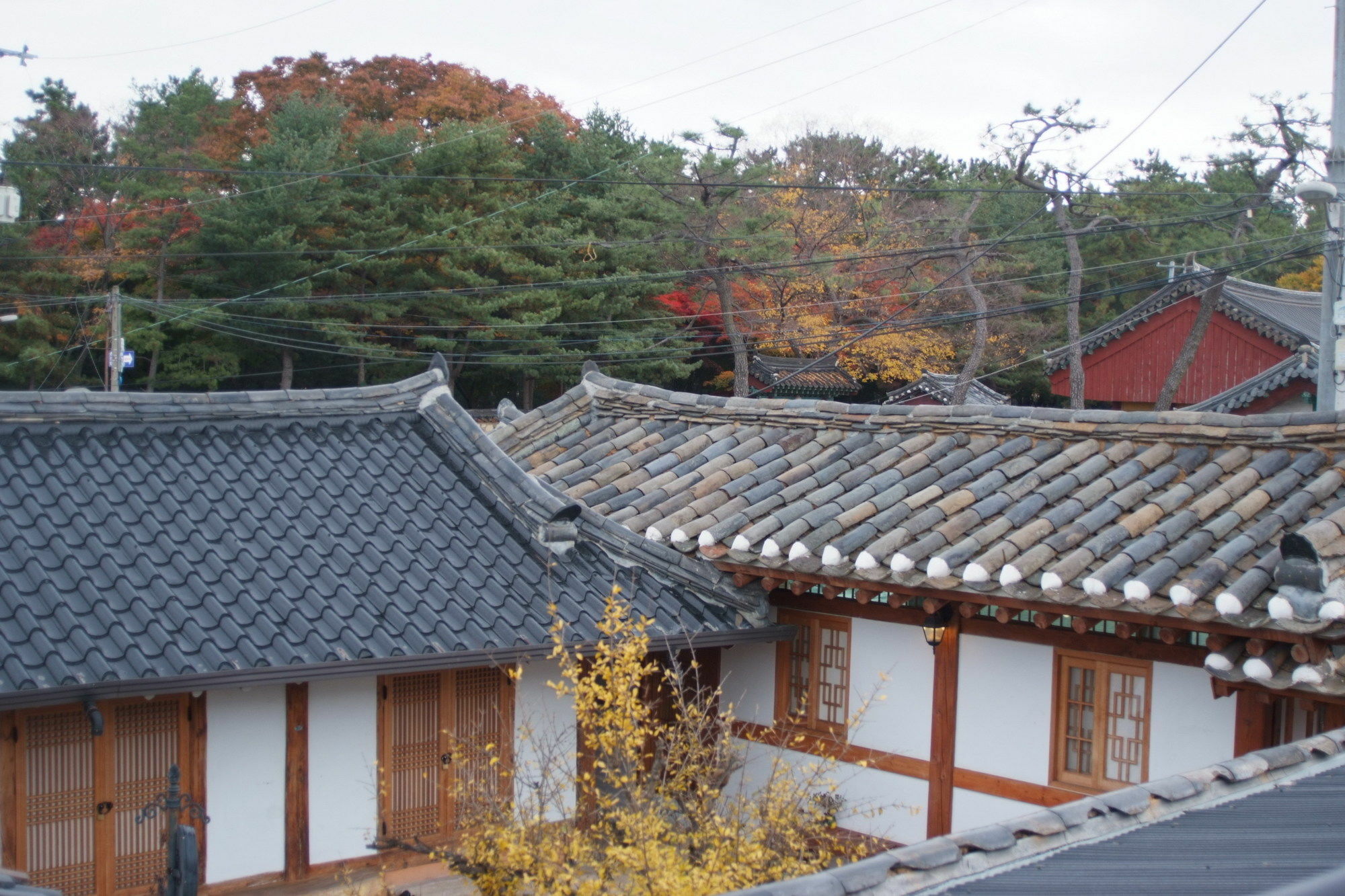 庆州 碎花空间韩屋旅馆酒店 外观 照片